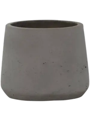 Patt XXL Mocha Washed