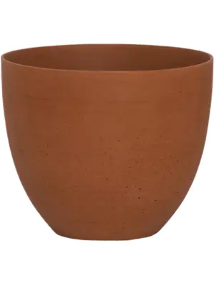 Coral M Canyon Orange