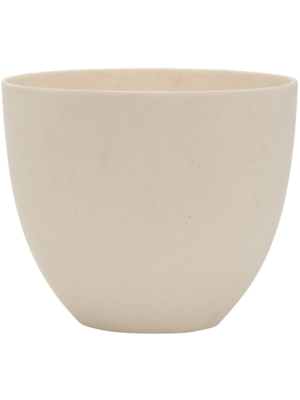 Coral M Natural White