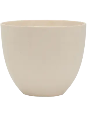 Coral M Natural White