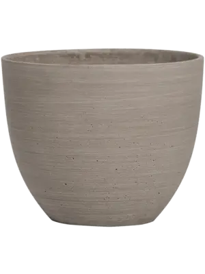 Coral S Clouded Grey