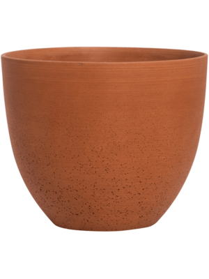 Coral S Canyon Orange