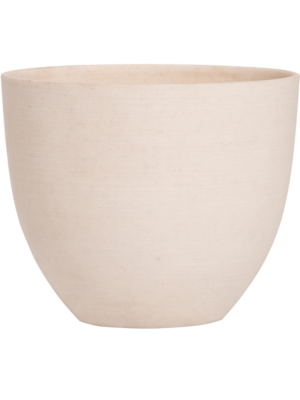 Coral S Natural White