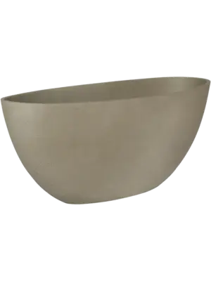 Dorant S Clouded Grey