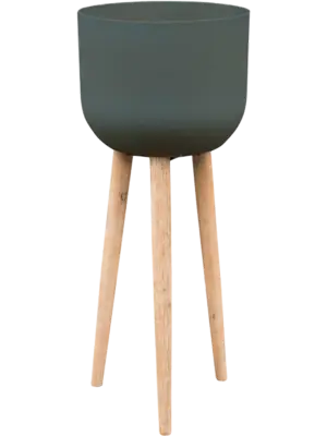 Landon pine green