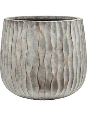 Pax M