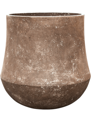 Darcy Rock