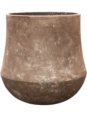 Darcy Rock