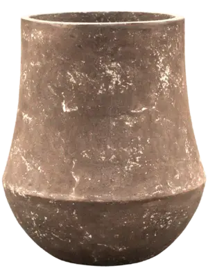 Darcy Rock