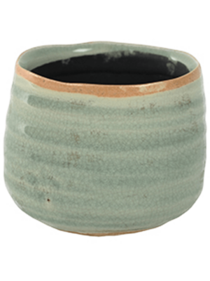 Pot Mint