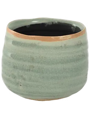 Pot Mint