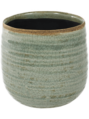 Pot Mint
