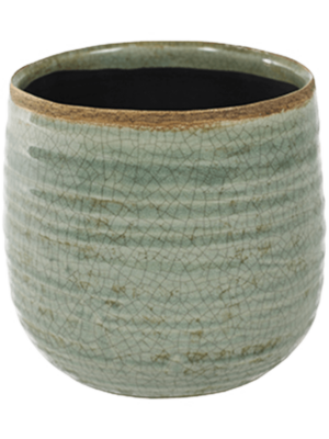 Pot Mint