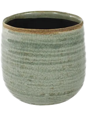 Pot Mint