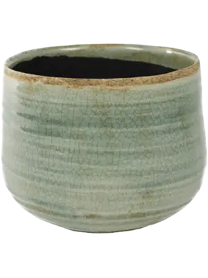 Pot Mint