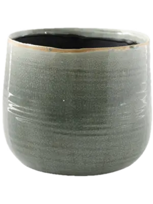 Pot Mint