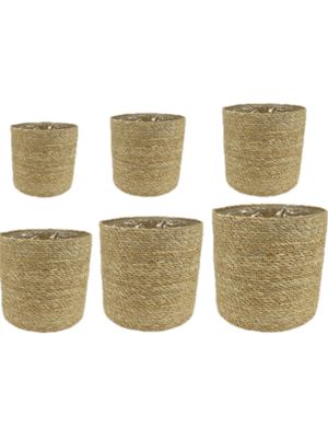 Pot Natural (set of 6)