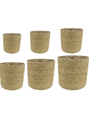 Pot Natural (set of 6)