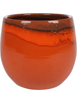 Pot Orange