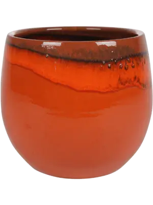 Pot Orange