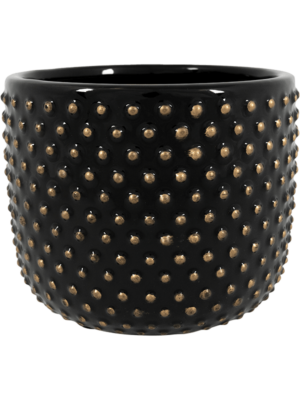 Pot Shiny Black