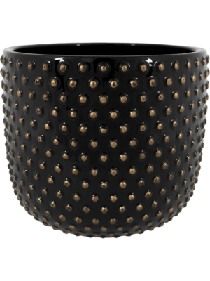 Pot Shiny Black