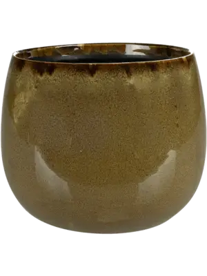 Pot Sahara