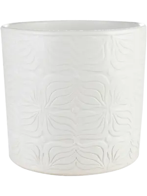 Pot Matt White