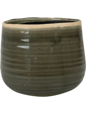 Pot Moss Grey