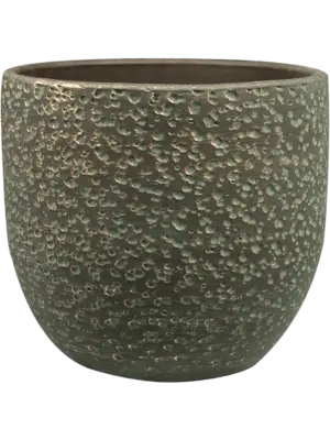 Pot Shiny Green