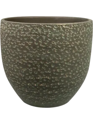 Pot Shiny Green