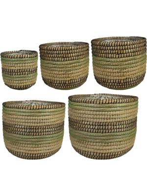 Pot Jungle (set of 5)