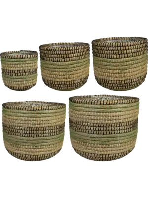 Pot Jungle (set of 5)