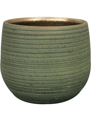 Pot Shiny Green