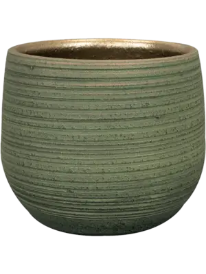 Pot Shiny Green