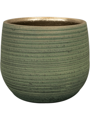 Pot Shiny Green