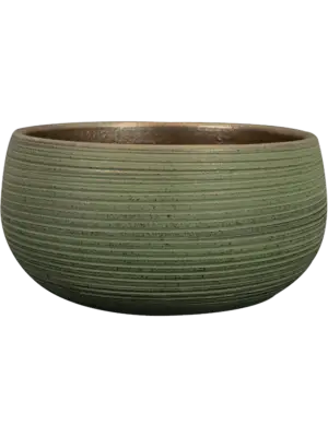 Bowl Shiny Green