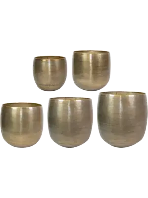 Pot Gold (set of 5)