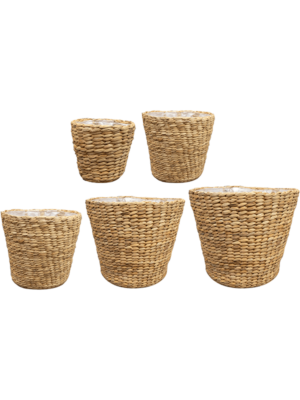 Pot Naturel (set of 5)