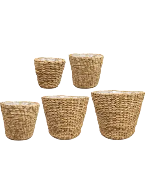 Pot Naturel (set of 5)