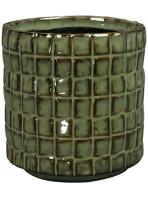 Pot Moss Green