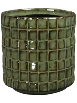 Pot Moss Green