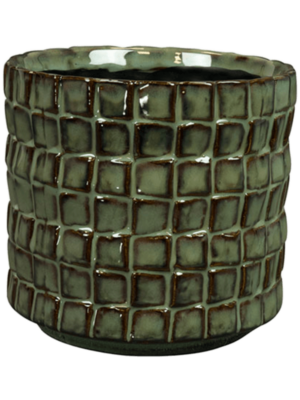 Pot Moss Green