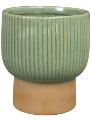 Pot Mint