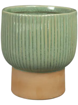 Ter Steege Pot Mint