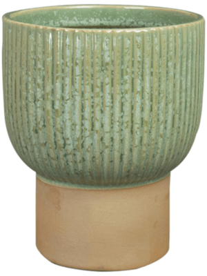 Pot Mint