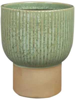 Ter Steege Pot Mint