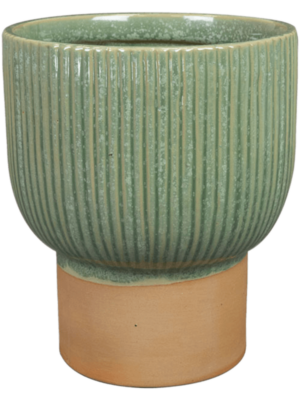 Pot Mint