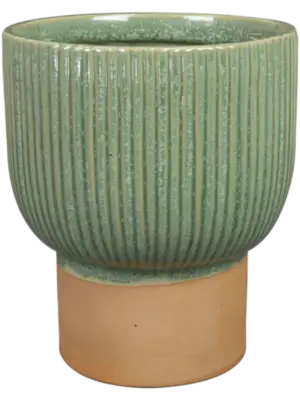 Ter Steege Pot Mint