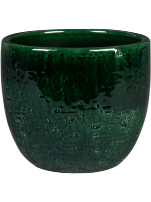Pot Forest